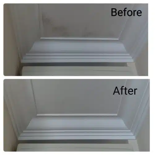 20190320_144126-qwpd4vbt3jn58gotvsqxr6u582rp90lwnqe5onazd4