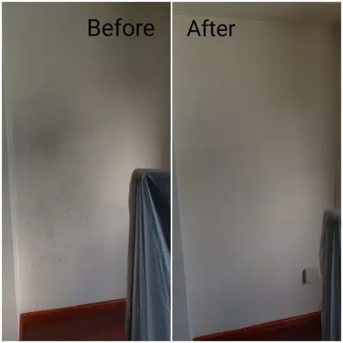 20190320_144446-qwpd4y5bo1r07akqfbytgo4j08dsw3x3o4cm4h6sug