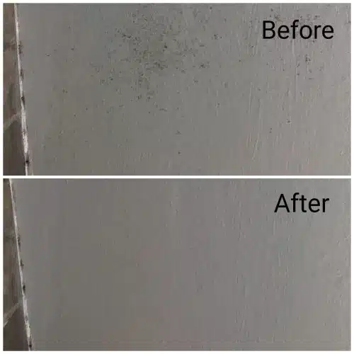 20190320_144823-qwpd5c8wikab1g09502802kfx0gb3kh2q24wbmlw94