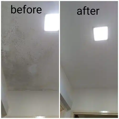 20200711_161239-qwpd5e4kw8cvonxiu0vh523d3s71iyojebfva6j3wo